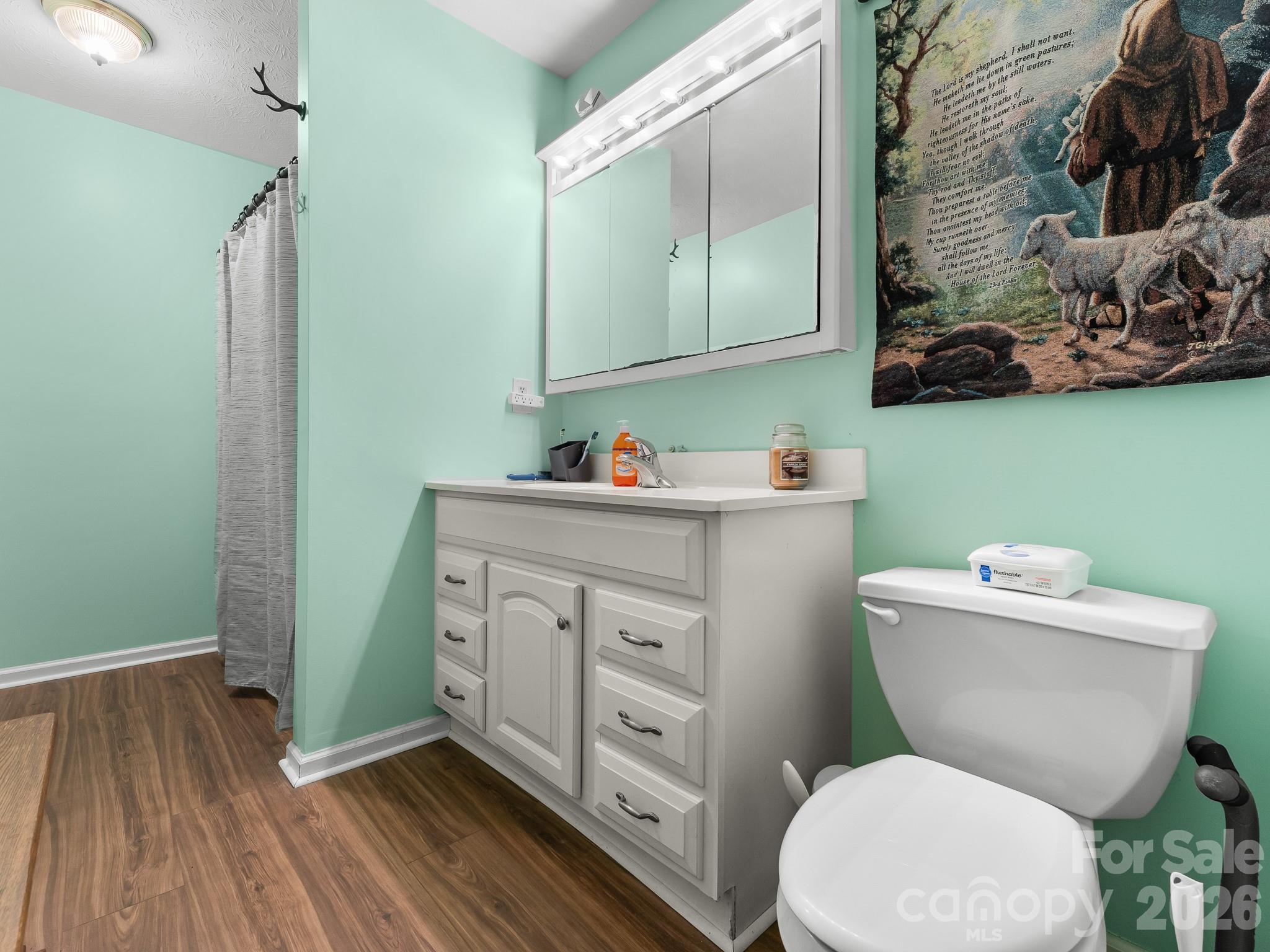 40 Country Bear Lane — Flat Rock