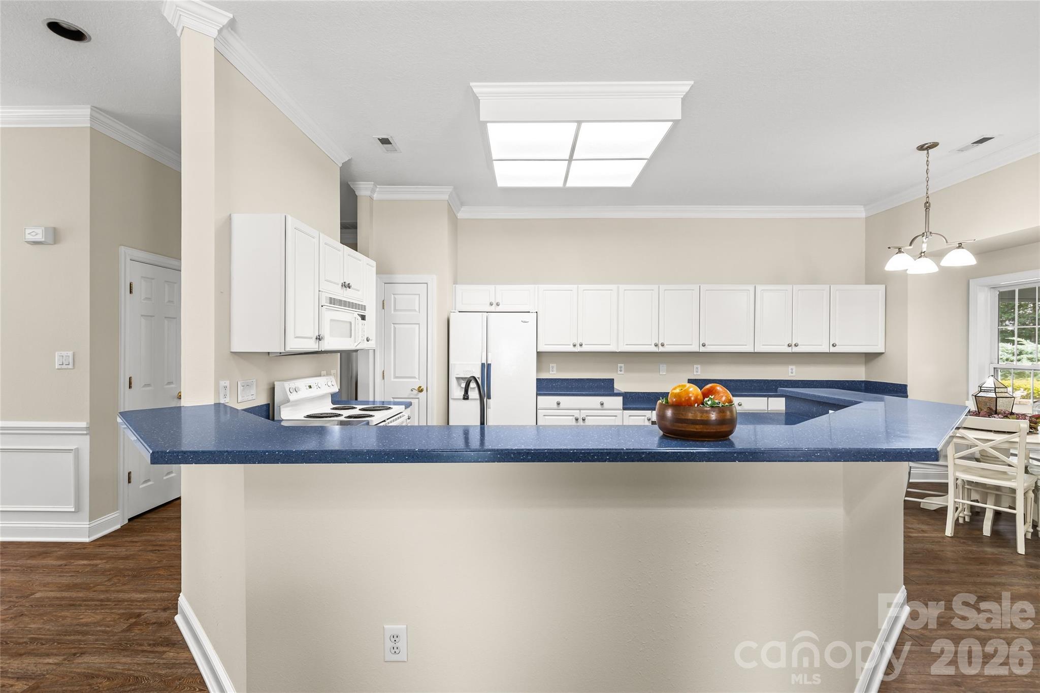 12316 Panthersville Drive — Charlotte