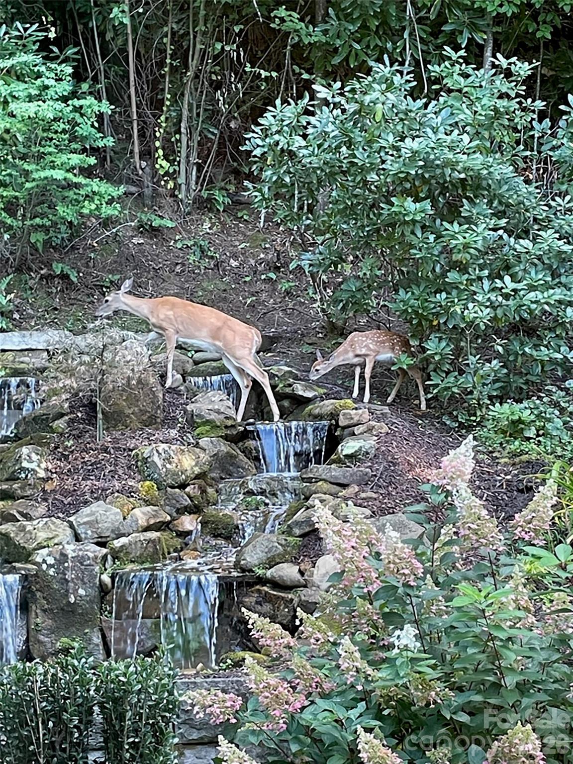 330 Sanctuary Drive — Waynesville