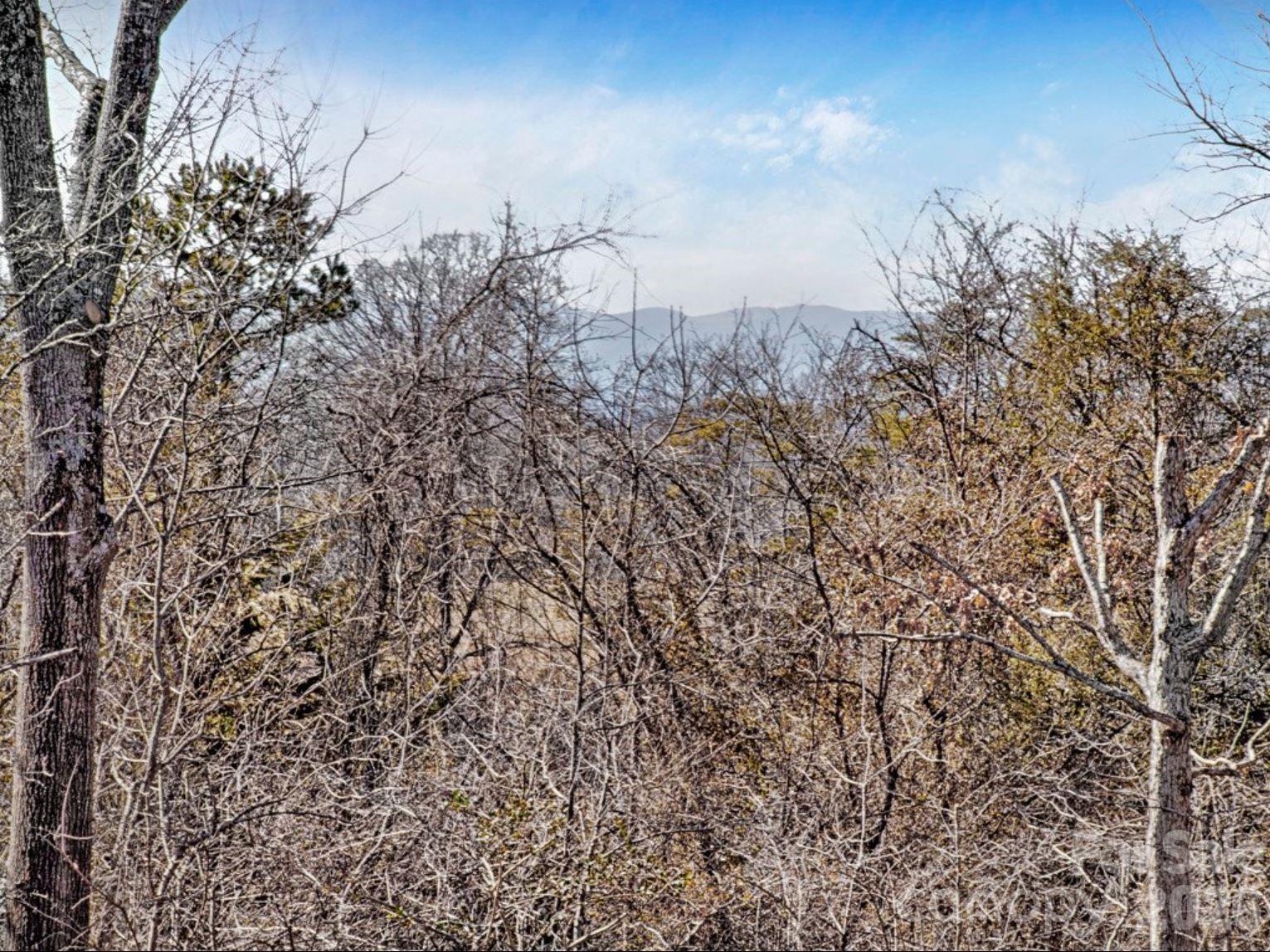 92 Salem Road — Weaverville