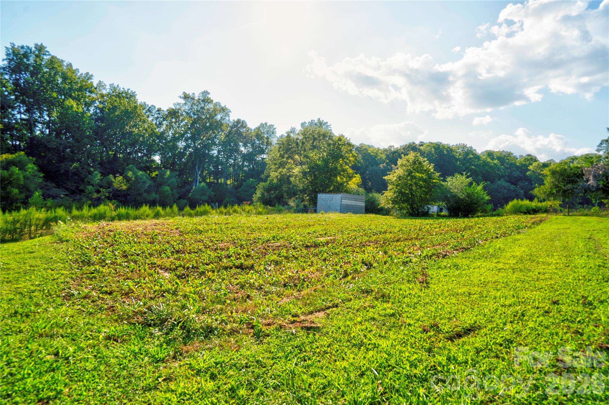 113 Idlewood Court — Kings Mountain