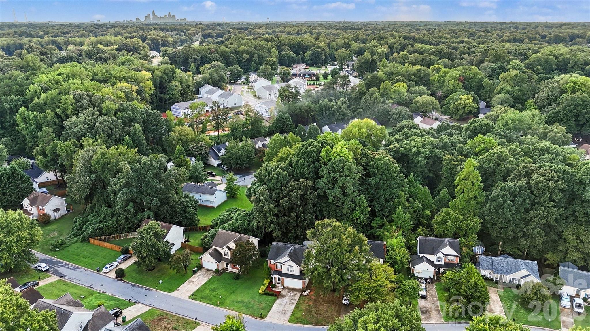 3207 Passour Ridge Lane — Charlotte