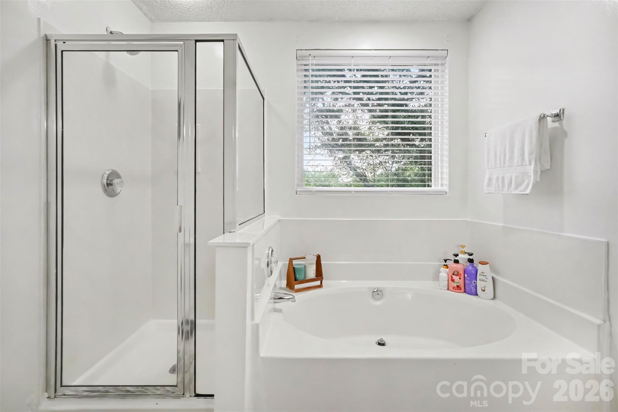 3207 Passour Ridge Lane — Charlotte