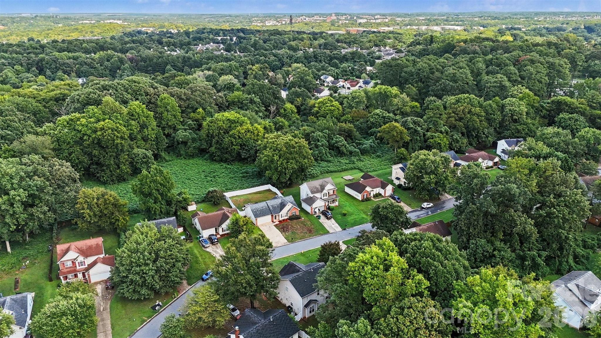 3207 Passour Ridge Lane — Charlotte