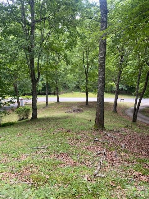 60 Hundred Acre Woods — Mullins