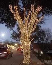 276 Mulberry Street — Forest City