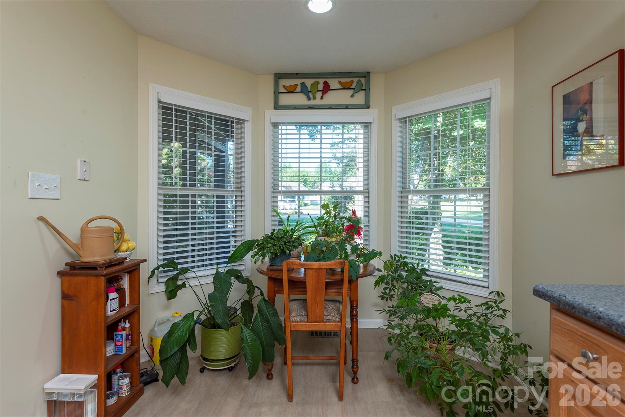 38 Eden Glen Road — Black Mountain