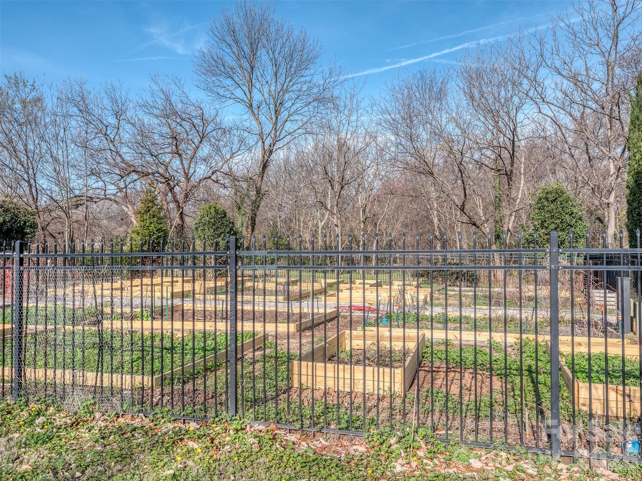1101 W 1st Street #211 — Charlotte