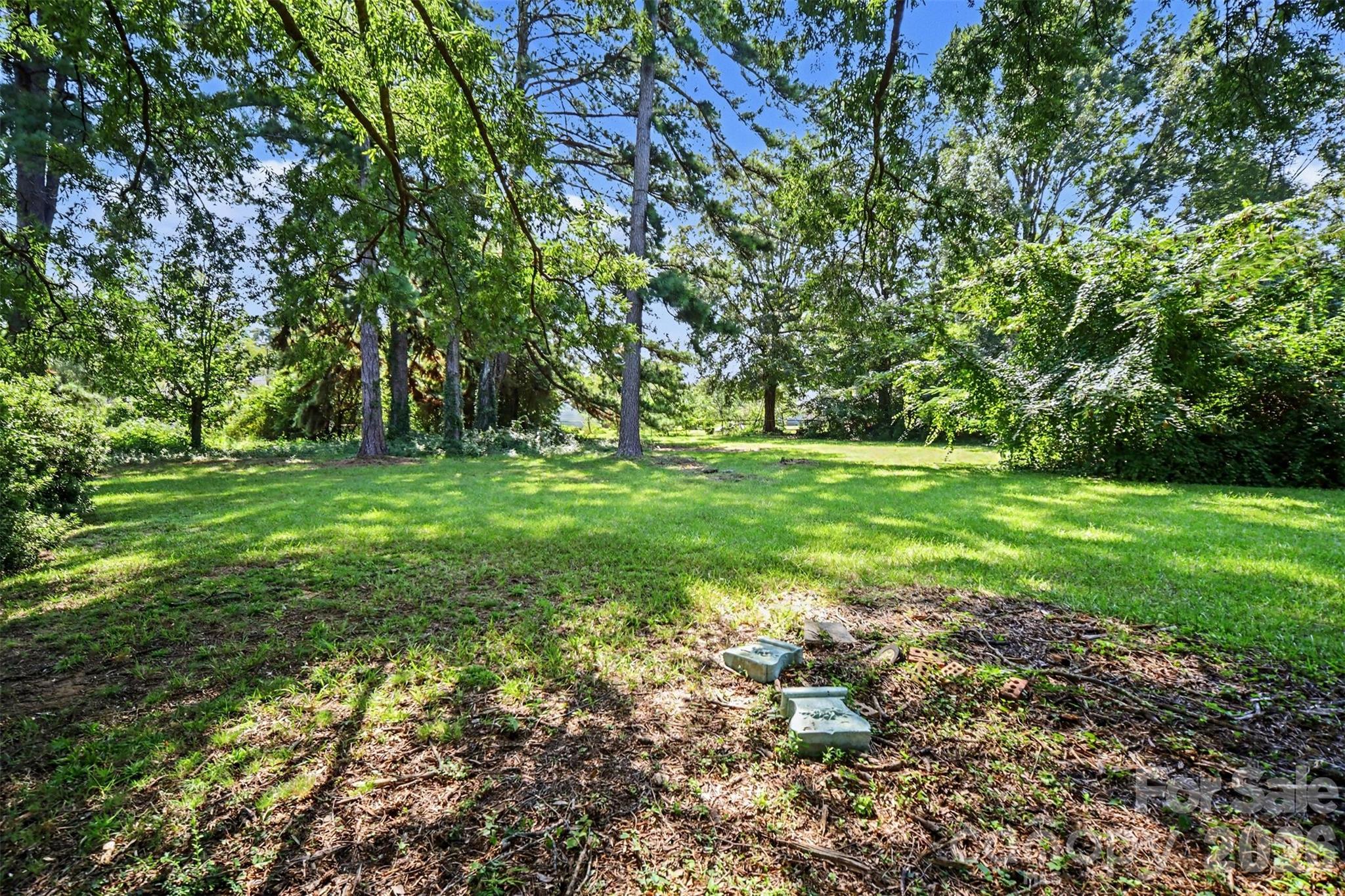 5324 Cheval Place — Charlotte