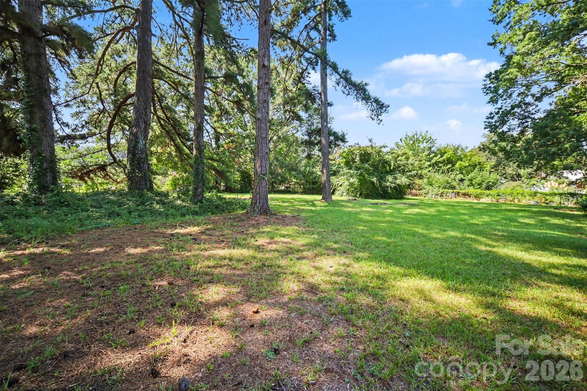 5324 Cheval Place — Charlotte