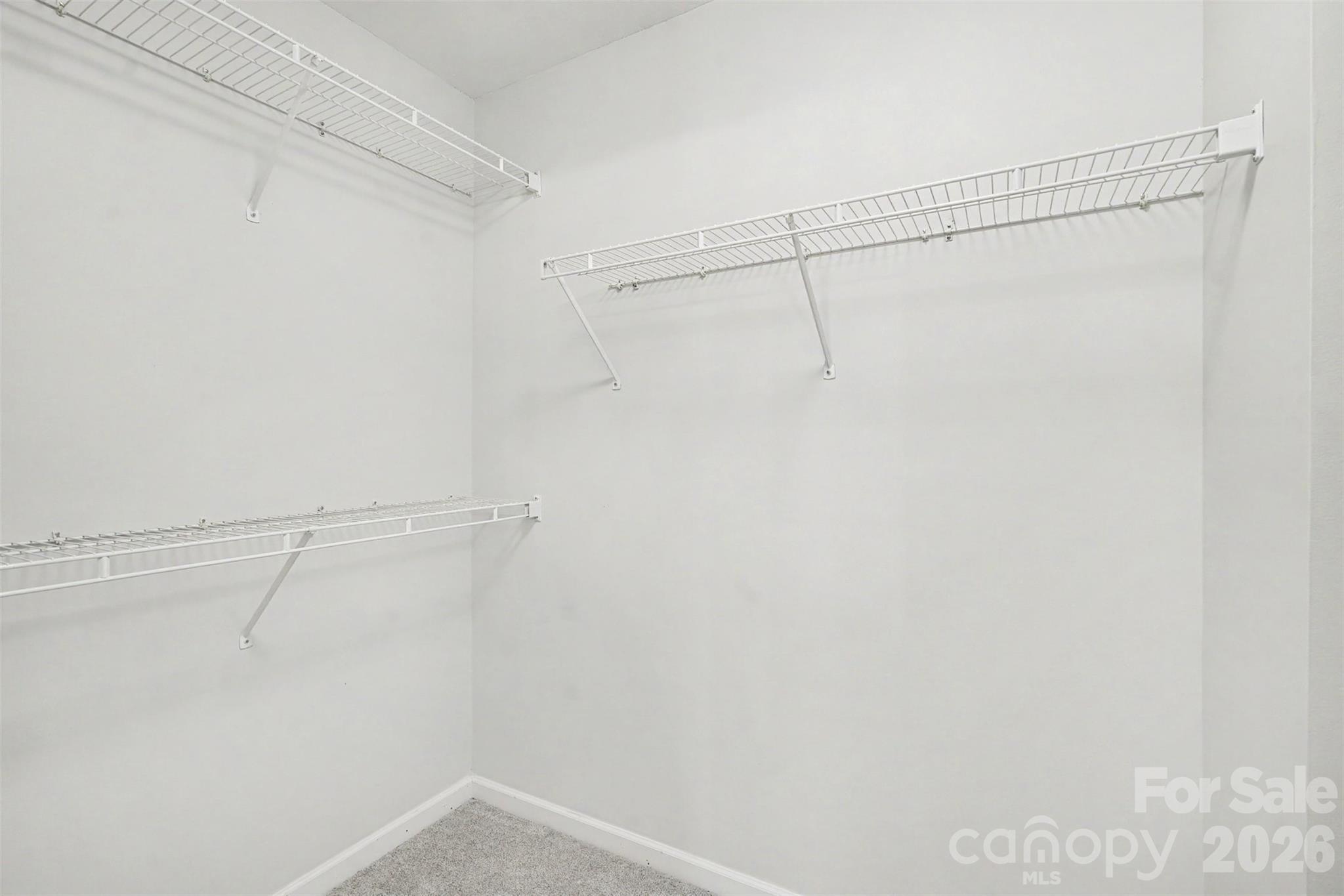 10424 Green Hedge Avenue — Charlotte