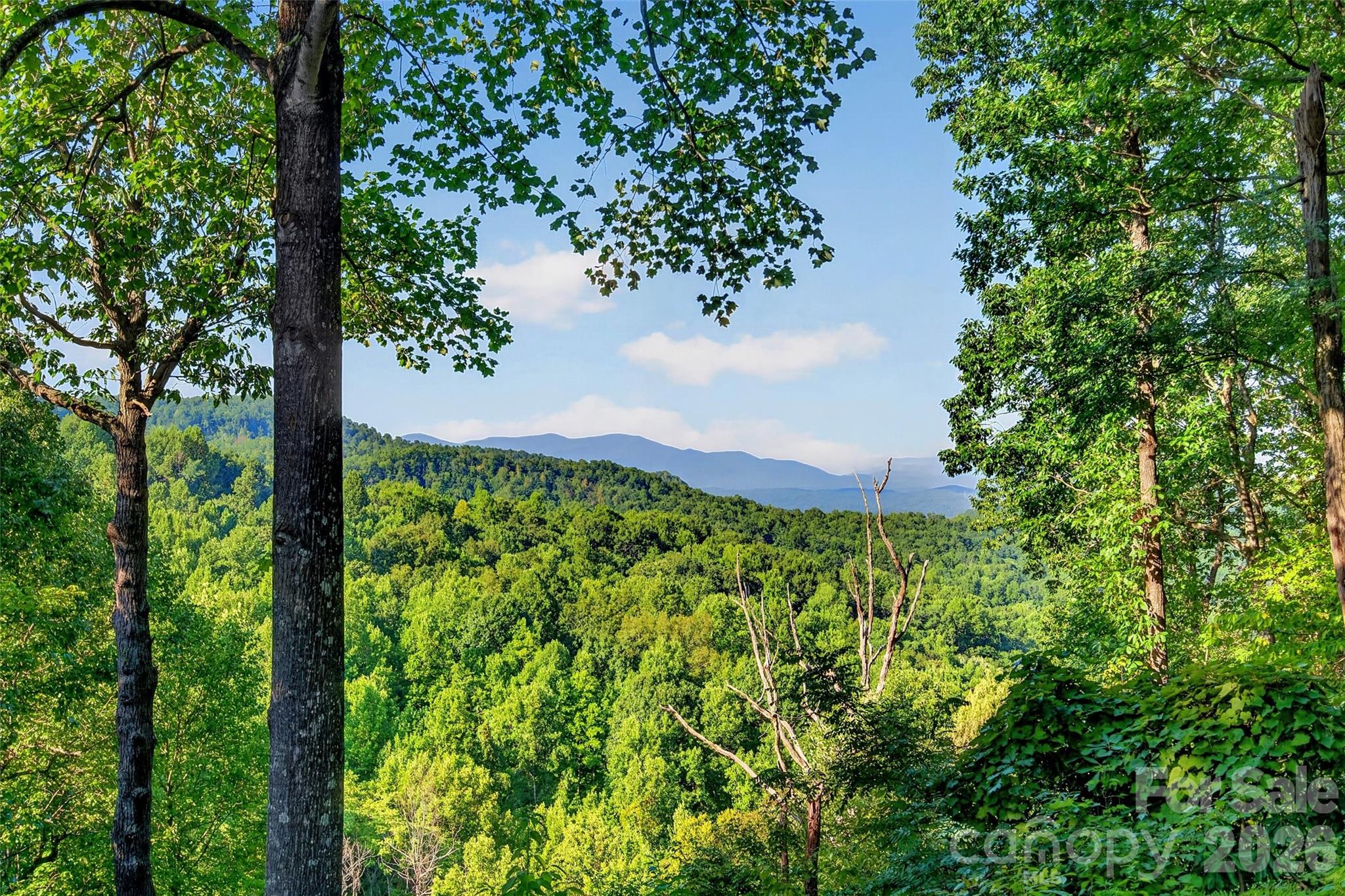 10 Camp Elliott Road — Black Mountain