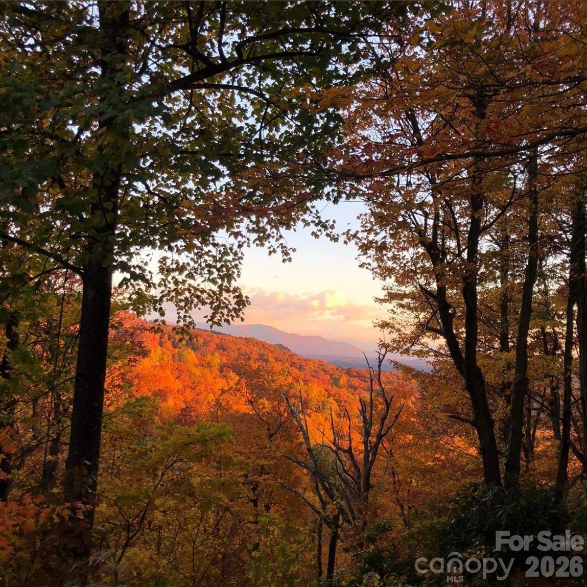 10 Camp Elliott Road — Black Mountain