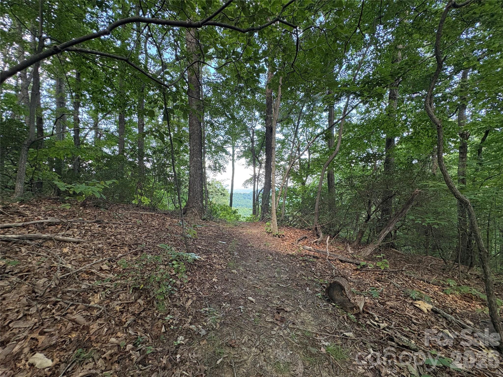 10 Camp Elliott Road — Black Mountain