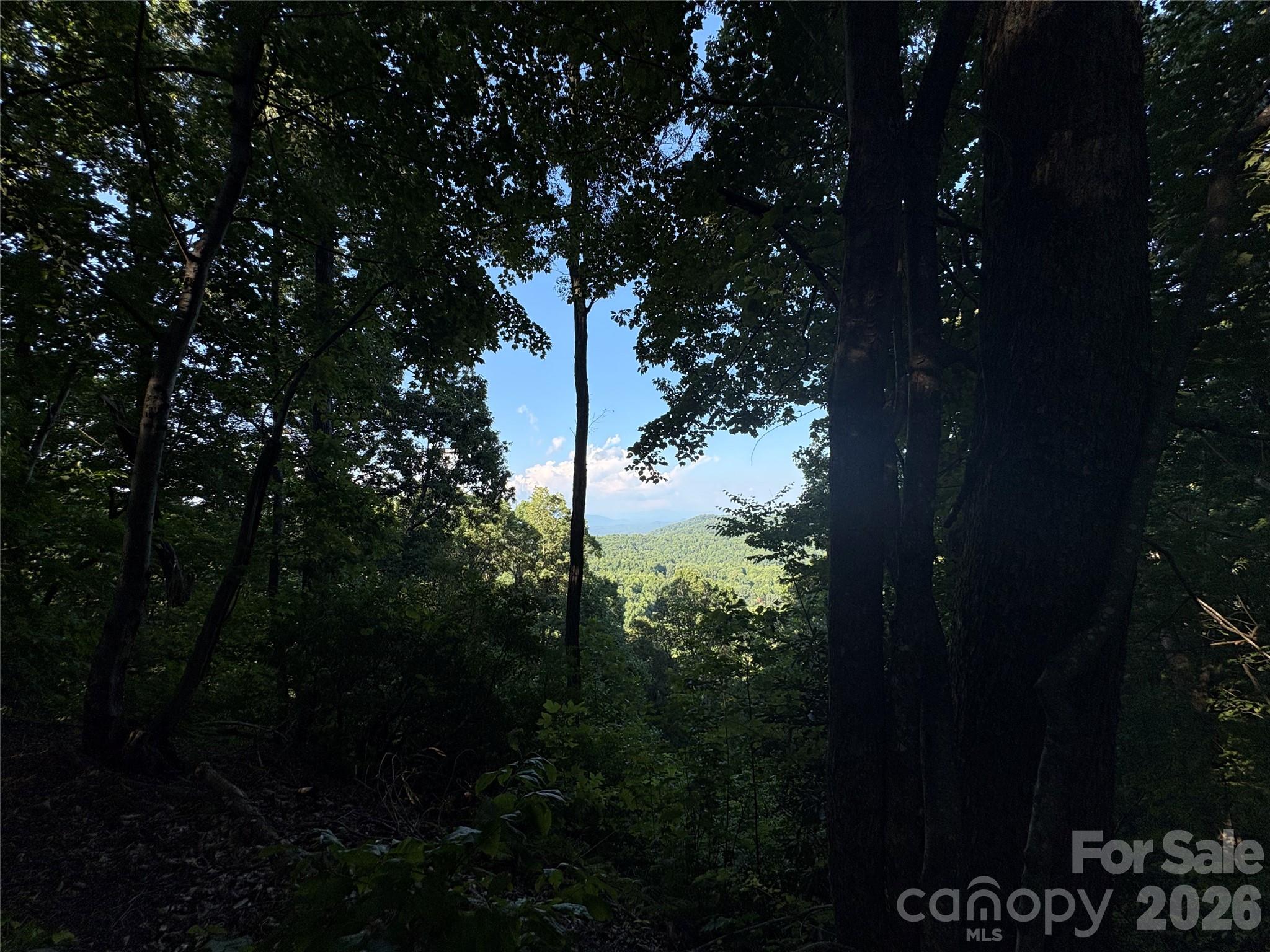 10 Camp Elliott Road — Black Mountain