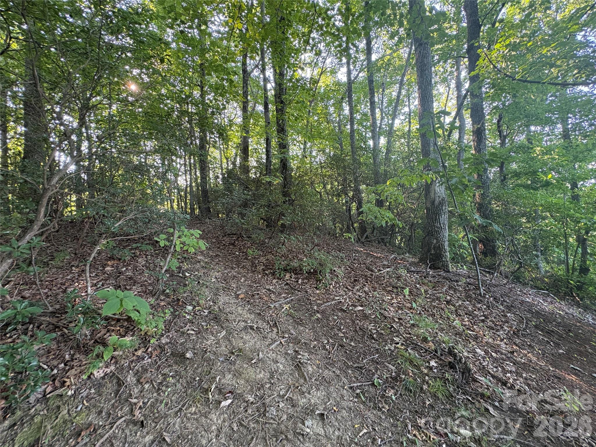 10 Camp Elliott Road — Black Mountain