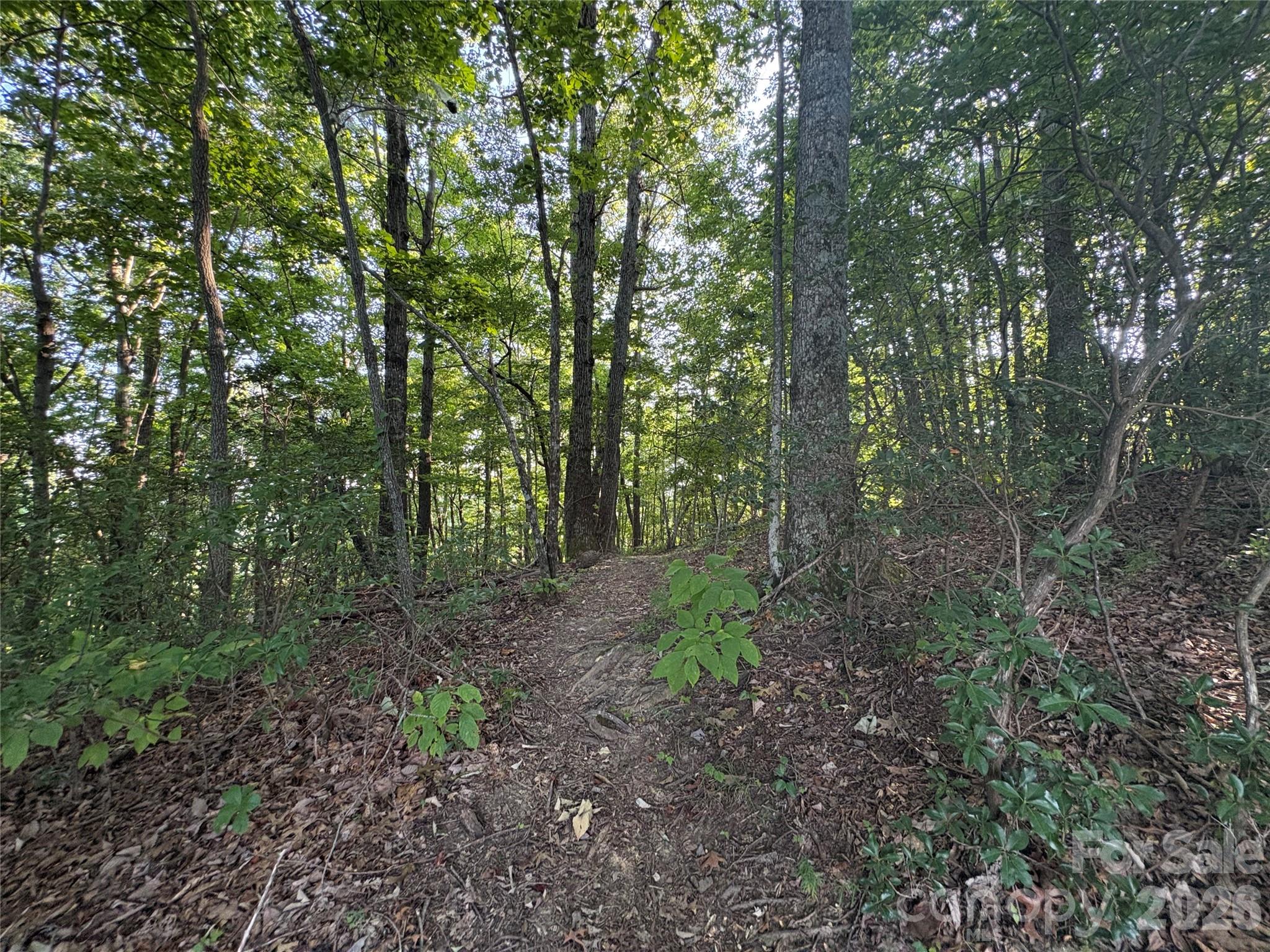 10 Camp Elliott Road — Black Mountain