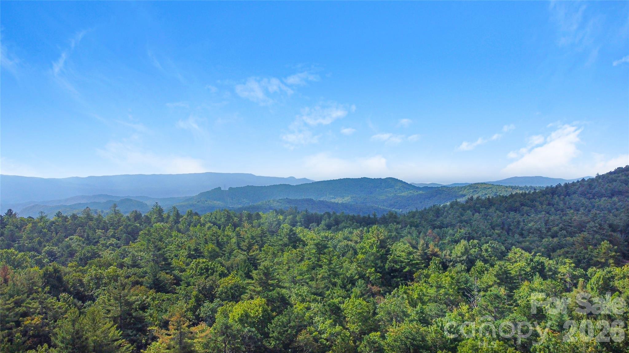 97 Toxaway Views Drive #704 — Lake Toxaway