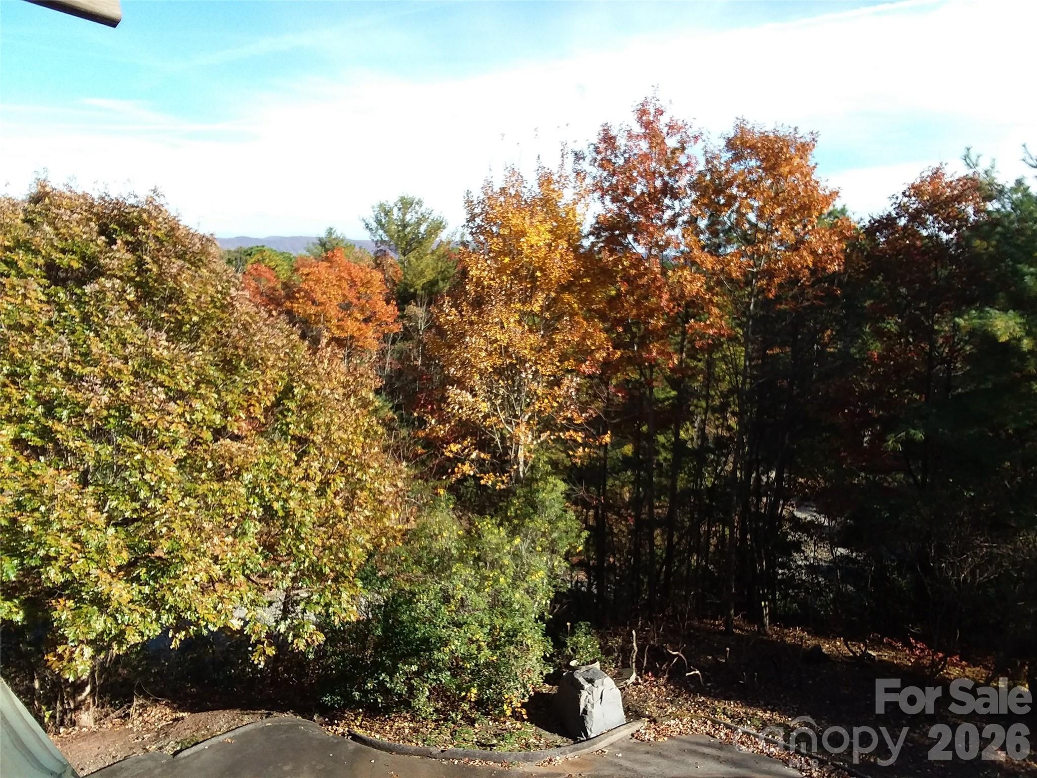 97 Toxaway Views Drive #704 — Lake Toxaway