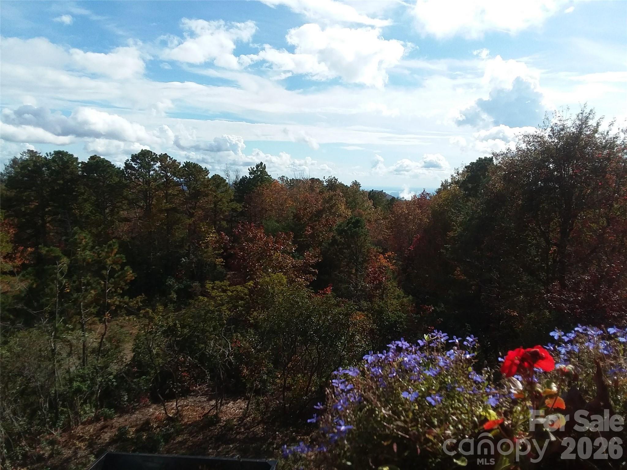 97 Toxaway Views Drive #704 — Lake Toxaway
