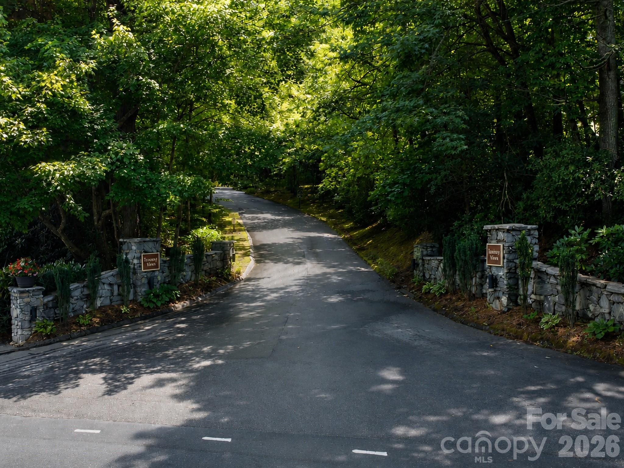 97 Toxaway Views Drive #704 — Lake Toxaway