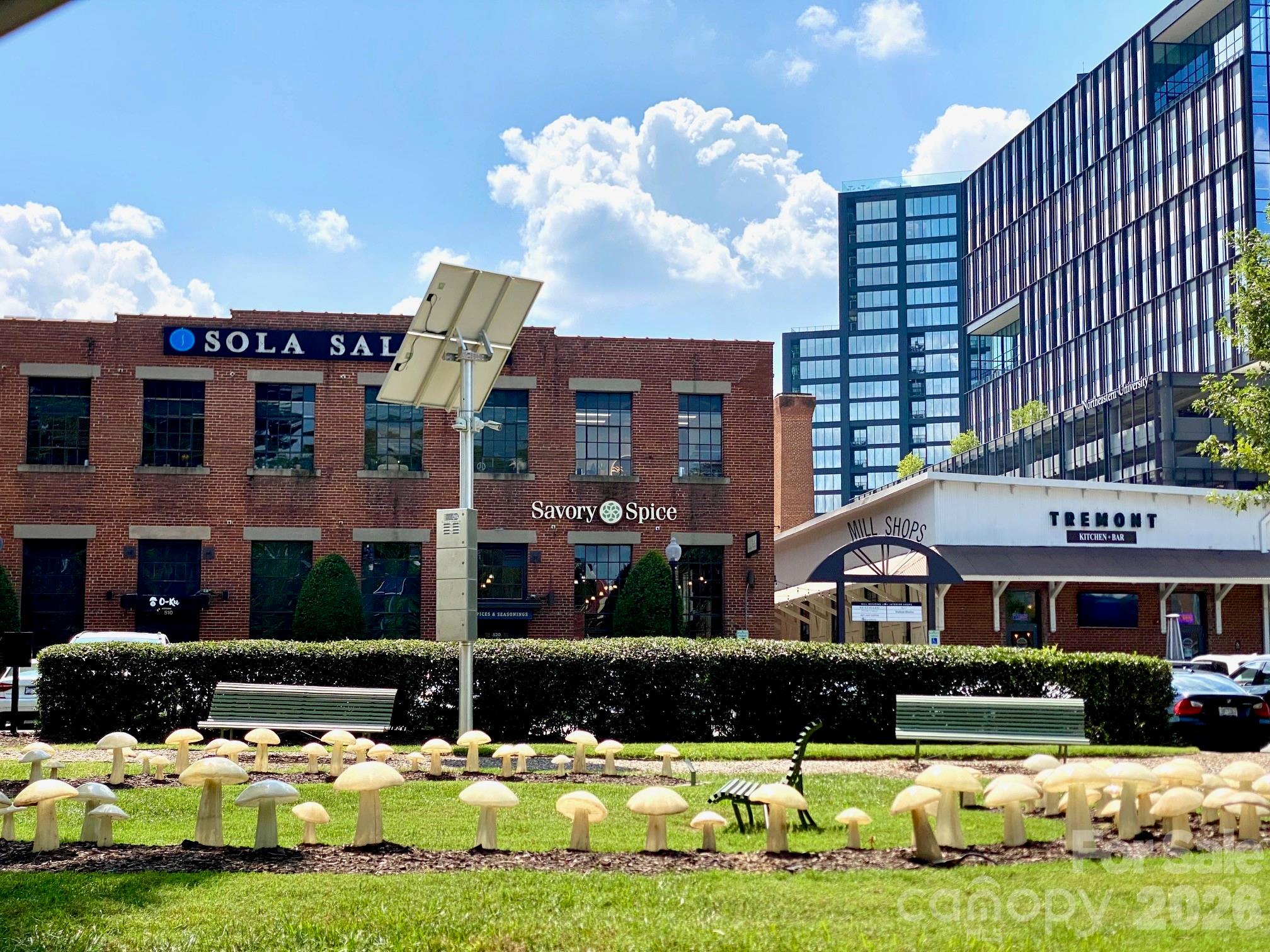 417 Olmsted Park Place — Charlotte
