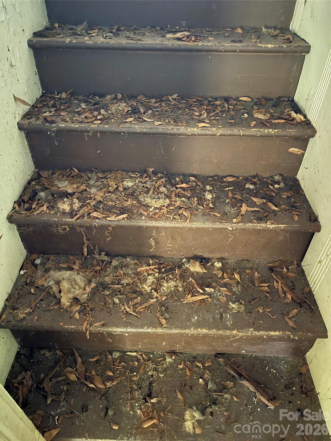 310 Sells Road — Salisbury