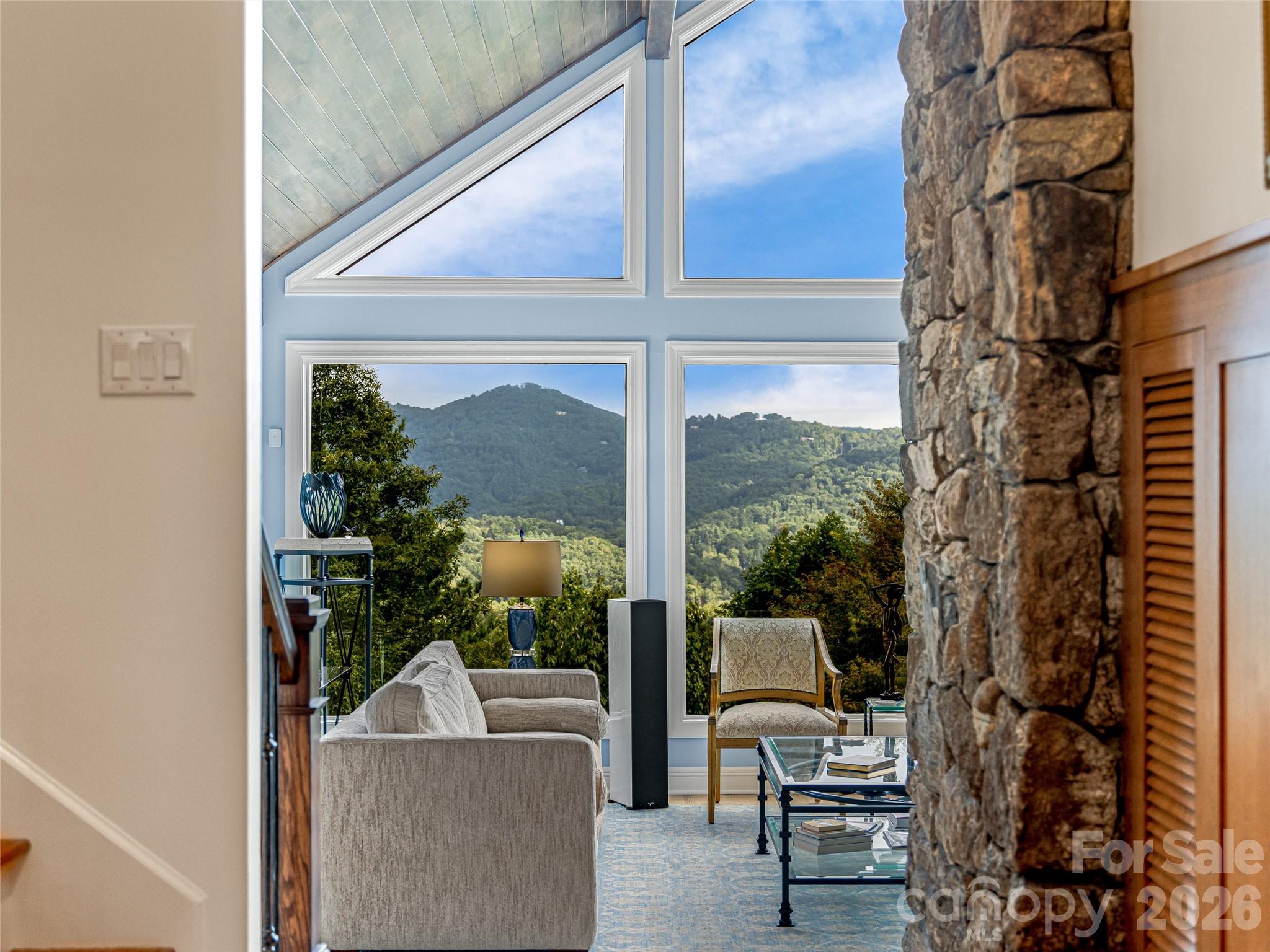 10 Beaverbrook Court — Asheville