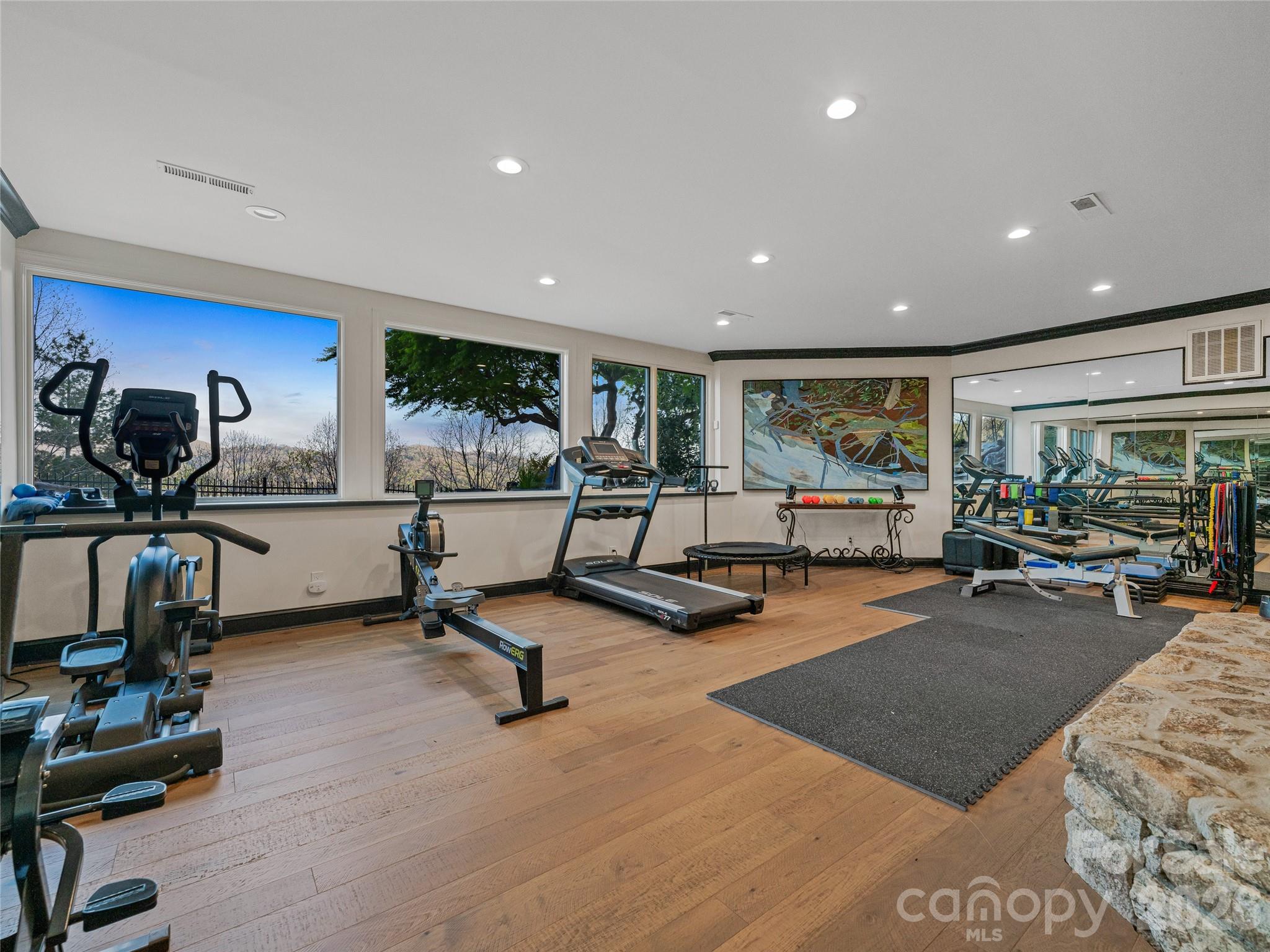 10 Beaverbrook Court — Asheville