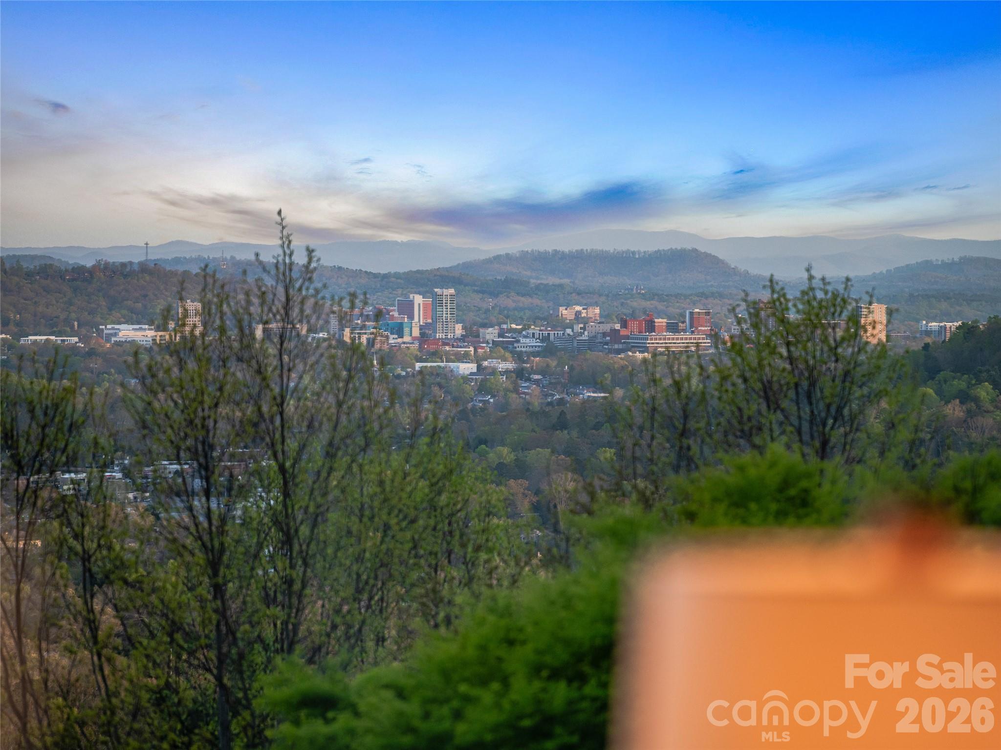 10 Beaverbrook Court — Asheville