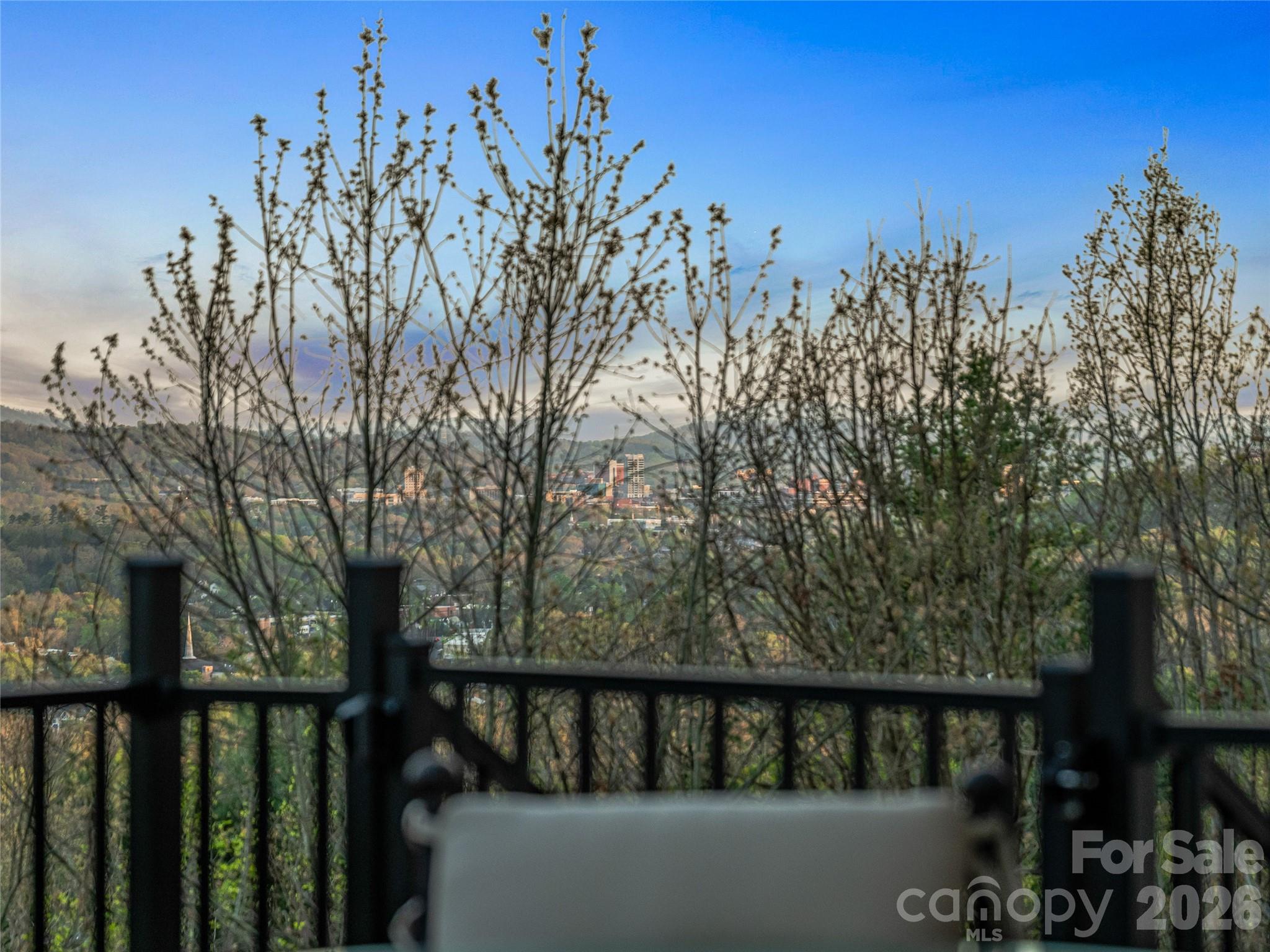10 Beaverbrook Court — Asheville