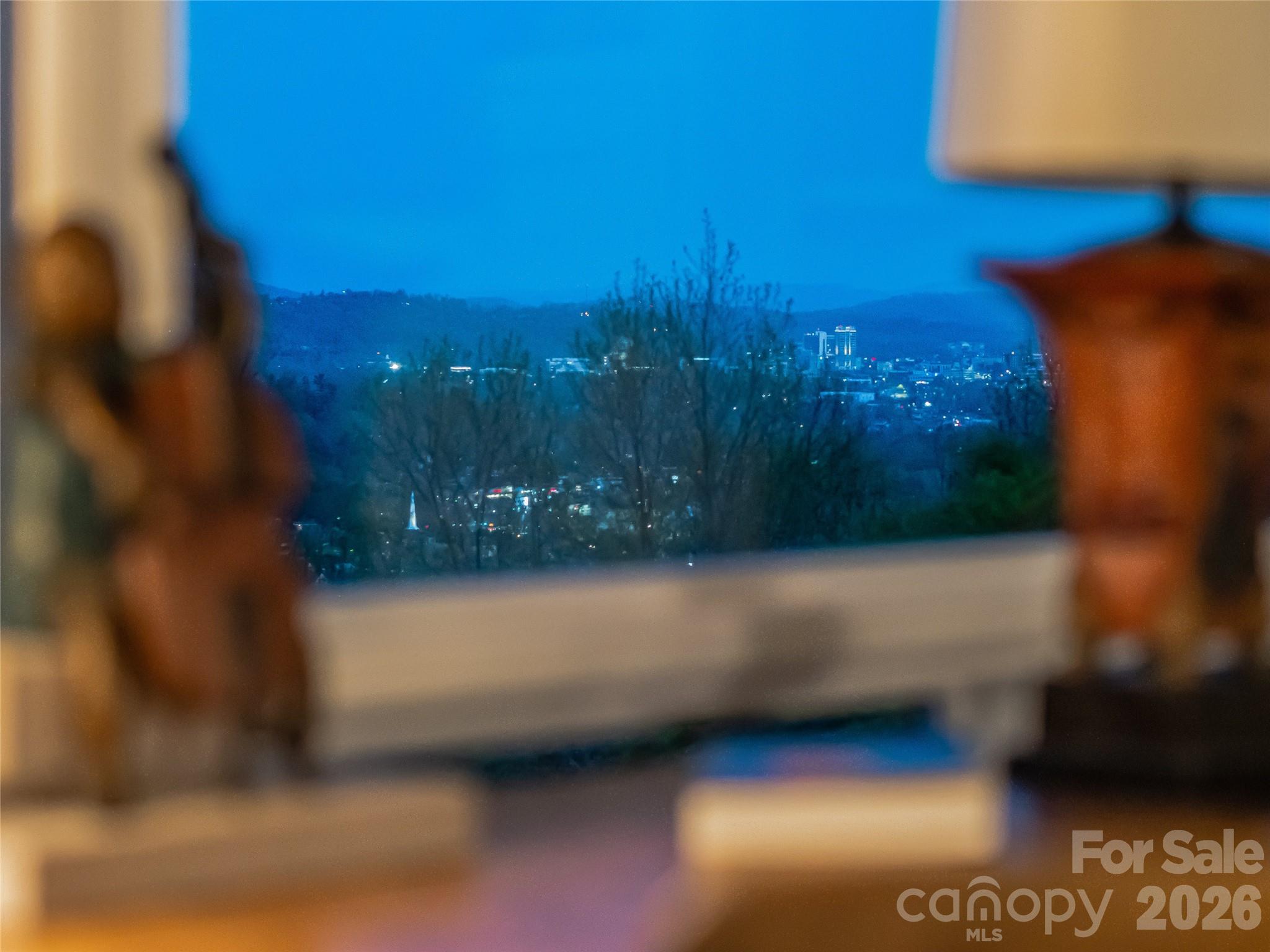 10 Beaverbrook Court — Asheville