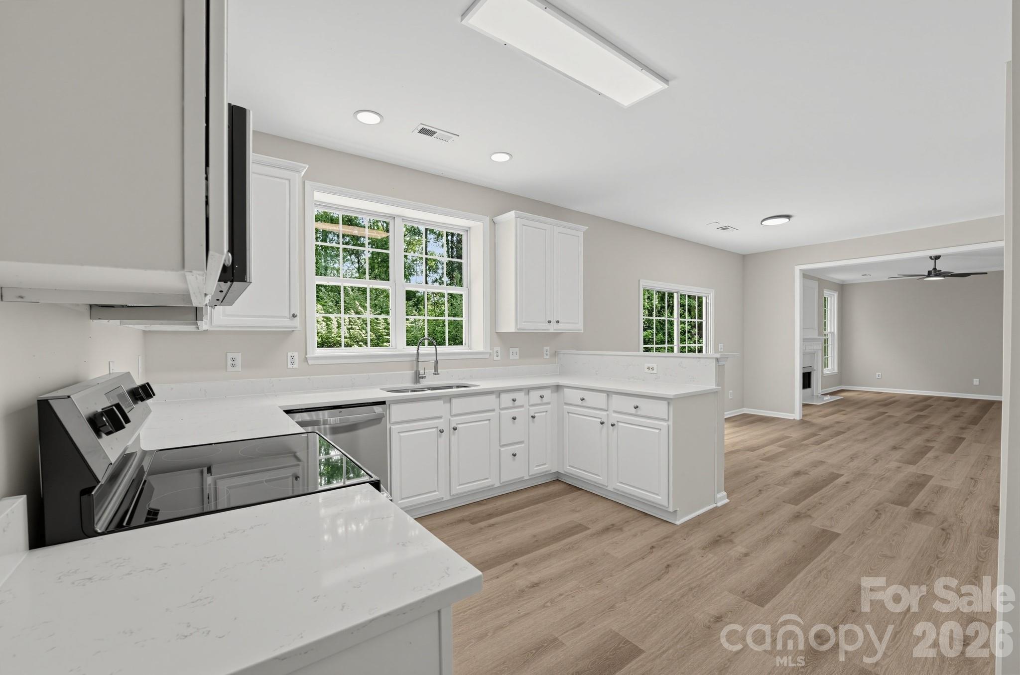 1317 Cool Mist Court — Indian Land
