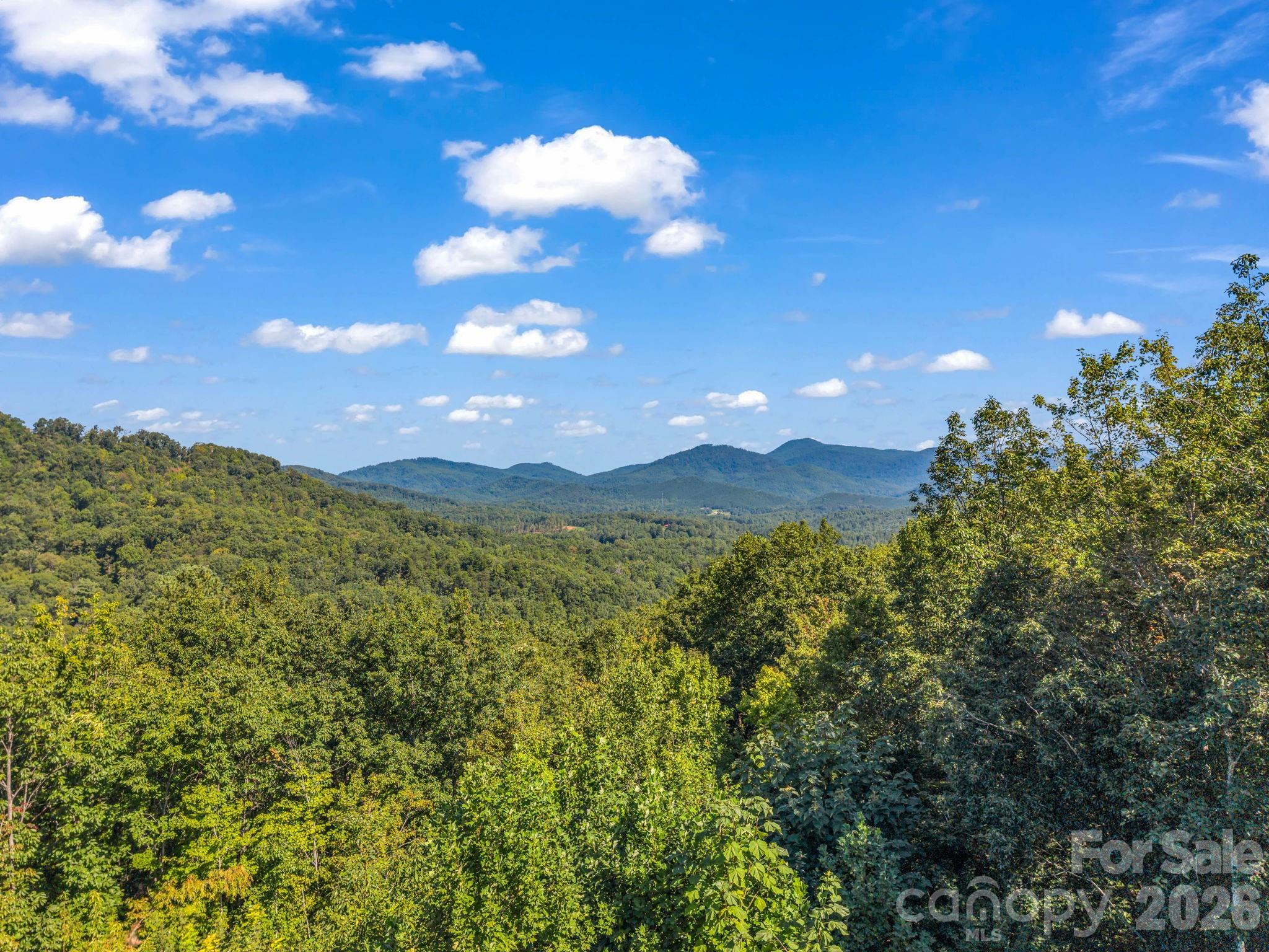 485 Mountain Lookout Drive — Bostic