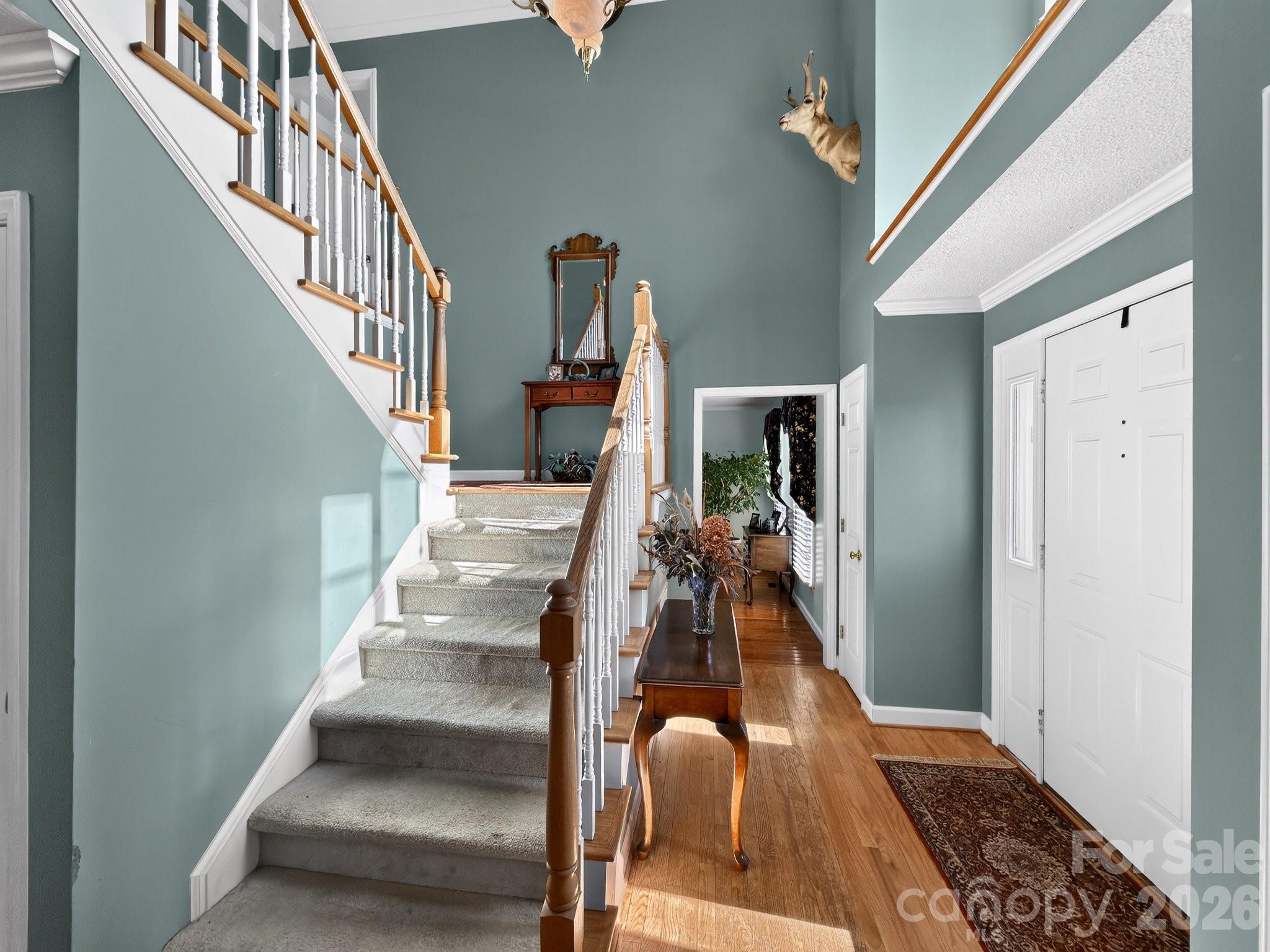 1186 Morningstar Lake Road — Forest City