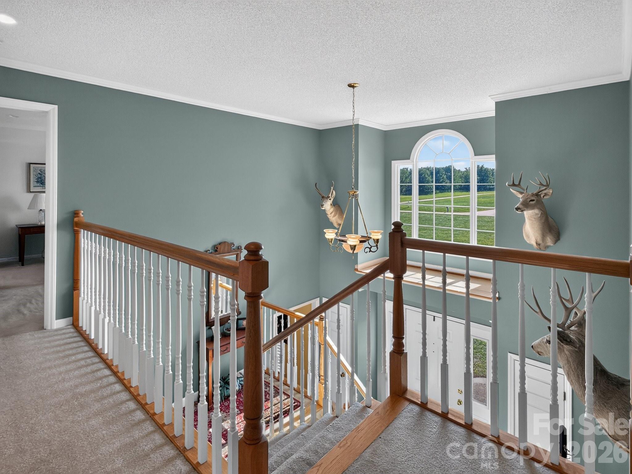 1186 Morningstar Lake Road — Forest City