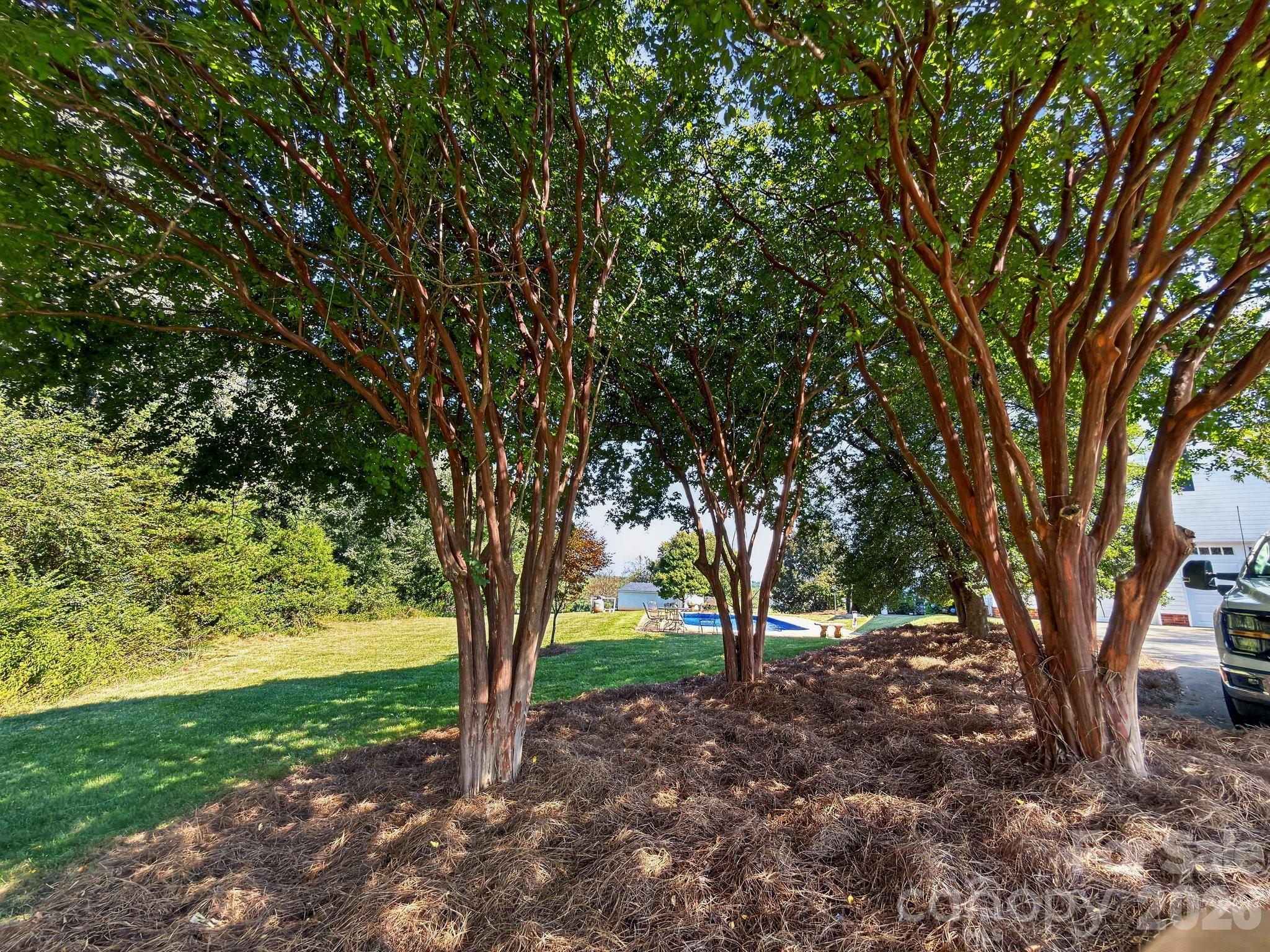 1186 Morningstar Lake Road — Forest City