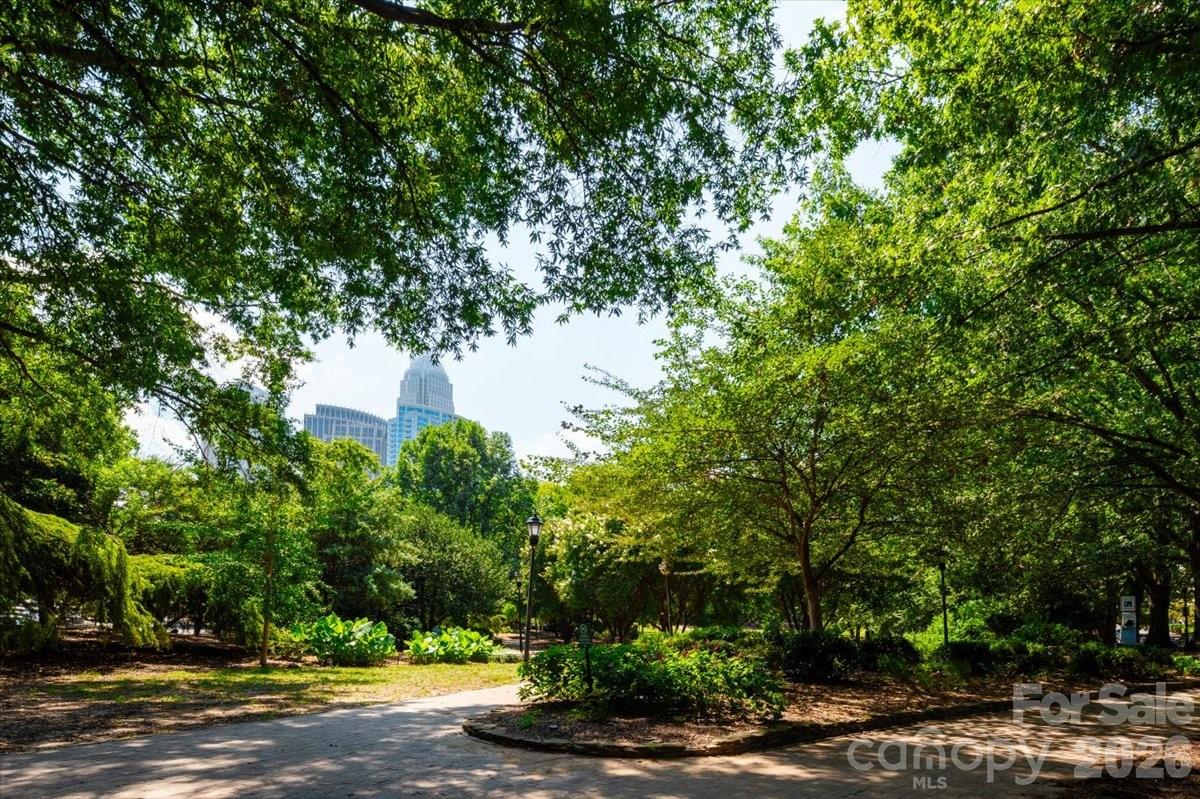 419 W 8th Street #59 — Charlotte