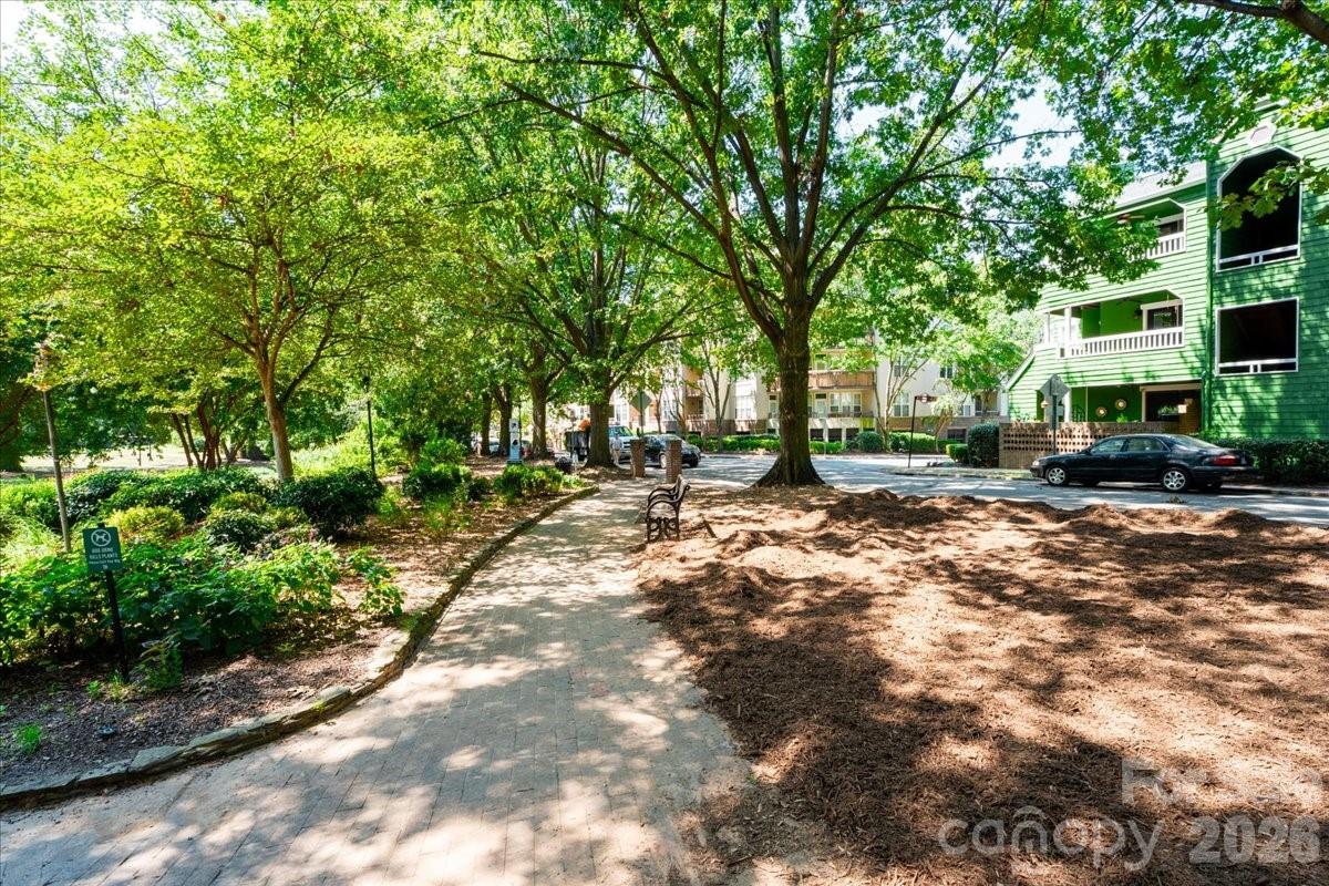 419 W 8th Street #59 — Charlotte