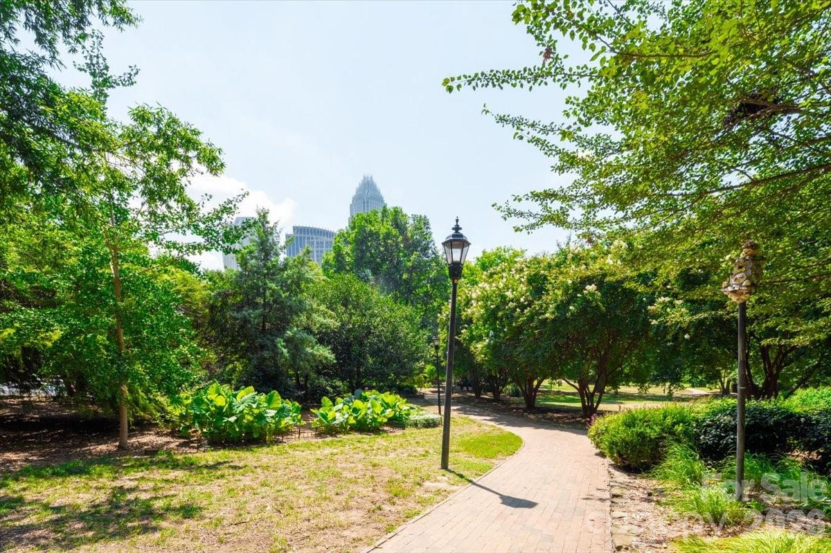 419 W 8th Street #59 — Charlotte