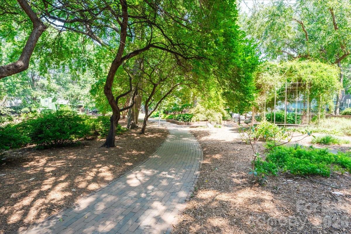 419 W 8th Street #59 — Charlotte