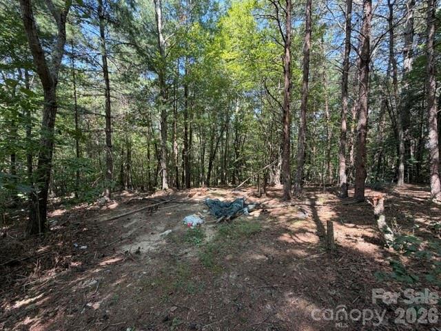 3205 Oran Yount Lane — Granite Falls