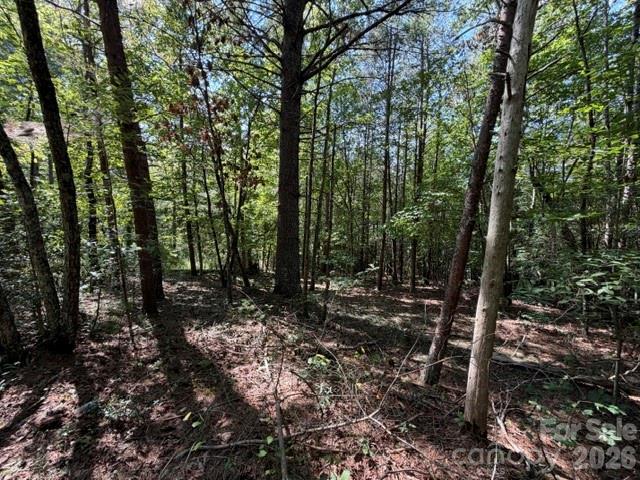 3205 Oran Yount Lane — Granite Falls