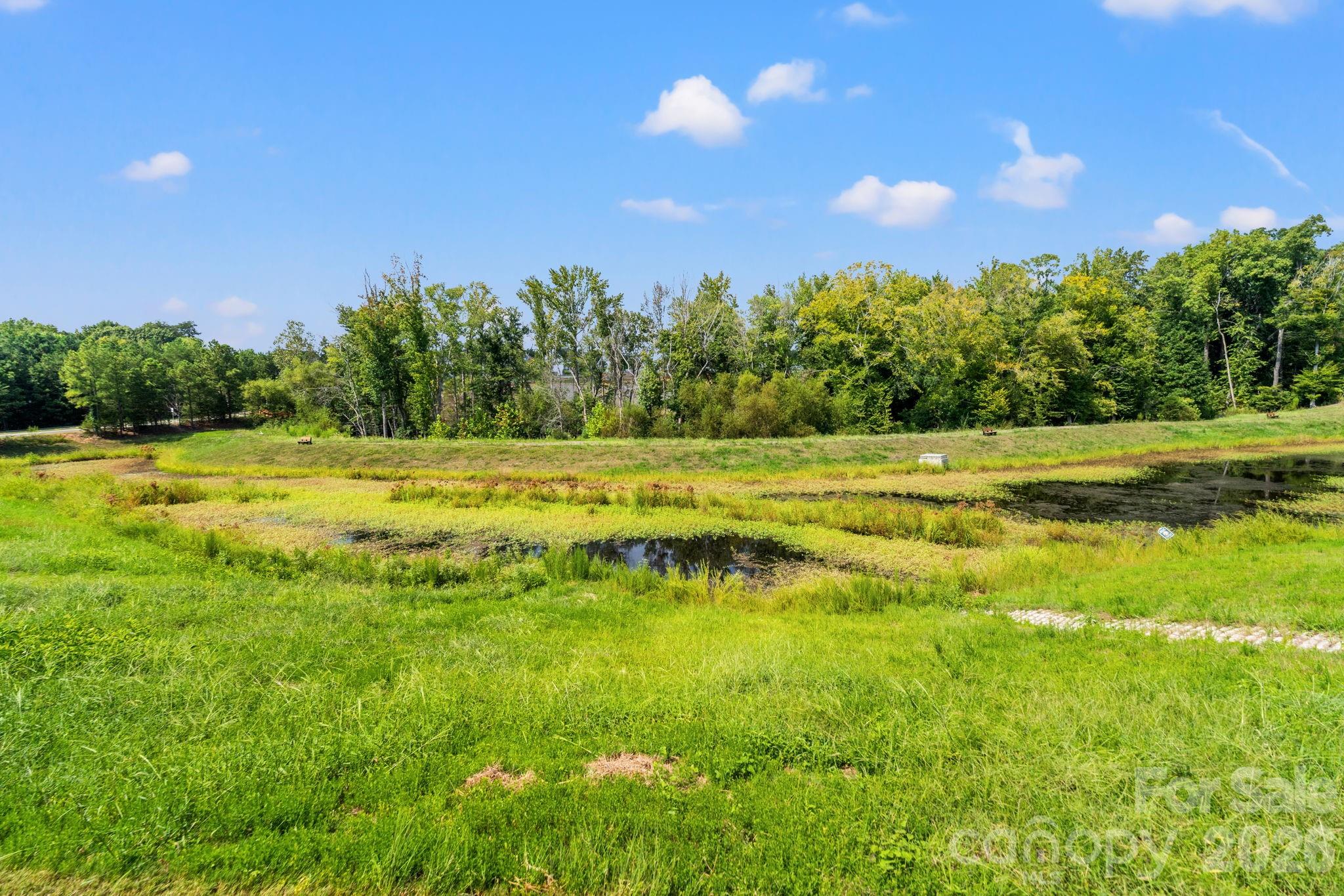 435 Lahinch Drive — Tega Cay