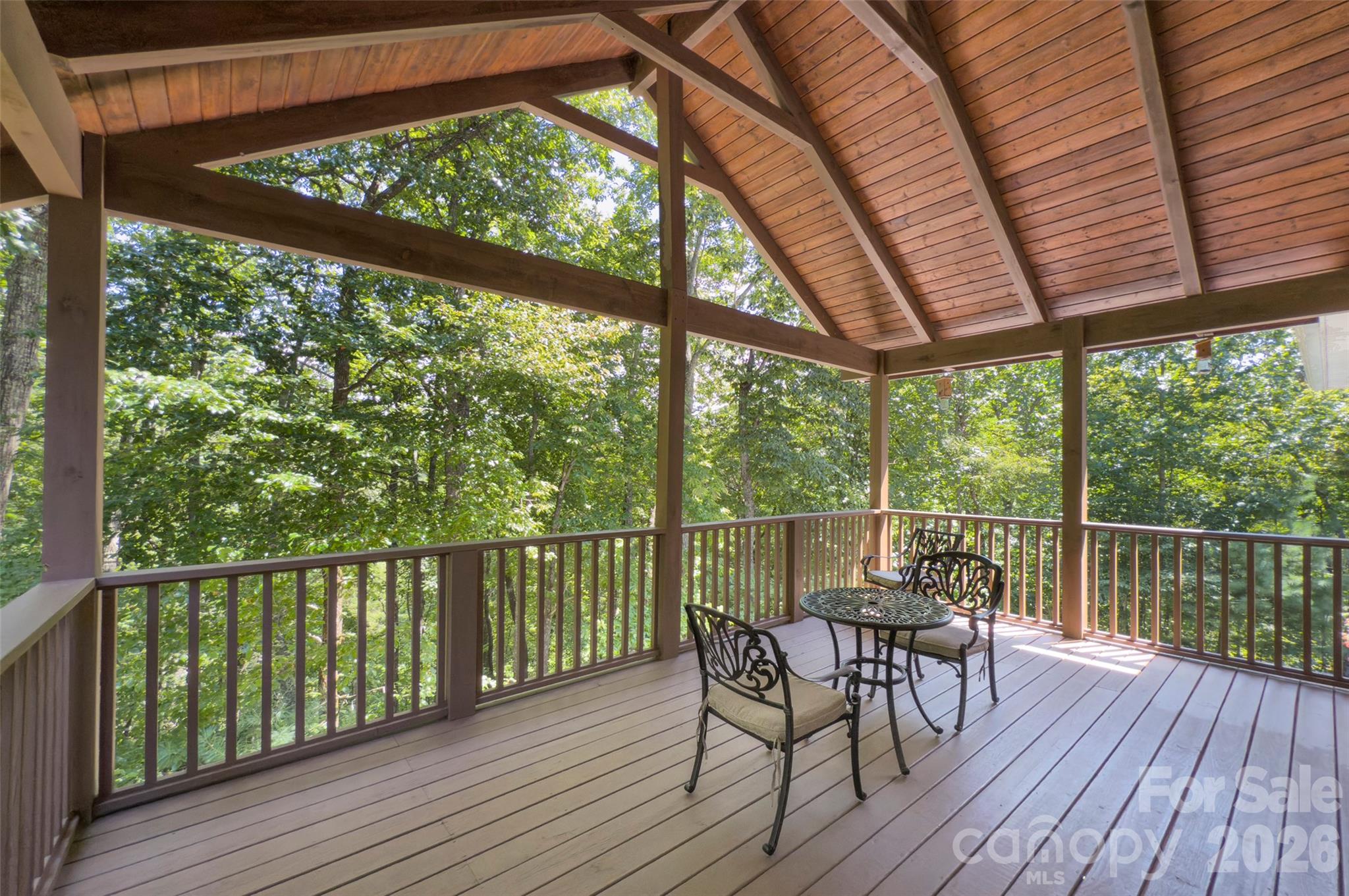 98 Soapstone Creek Drive — Arden
