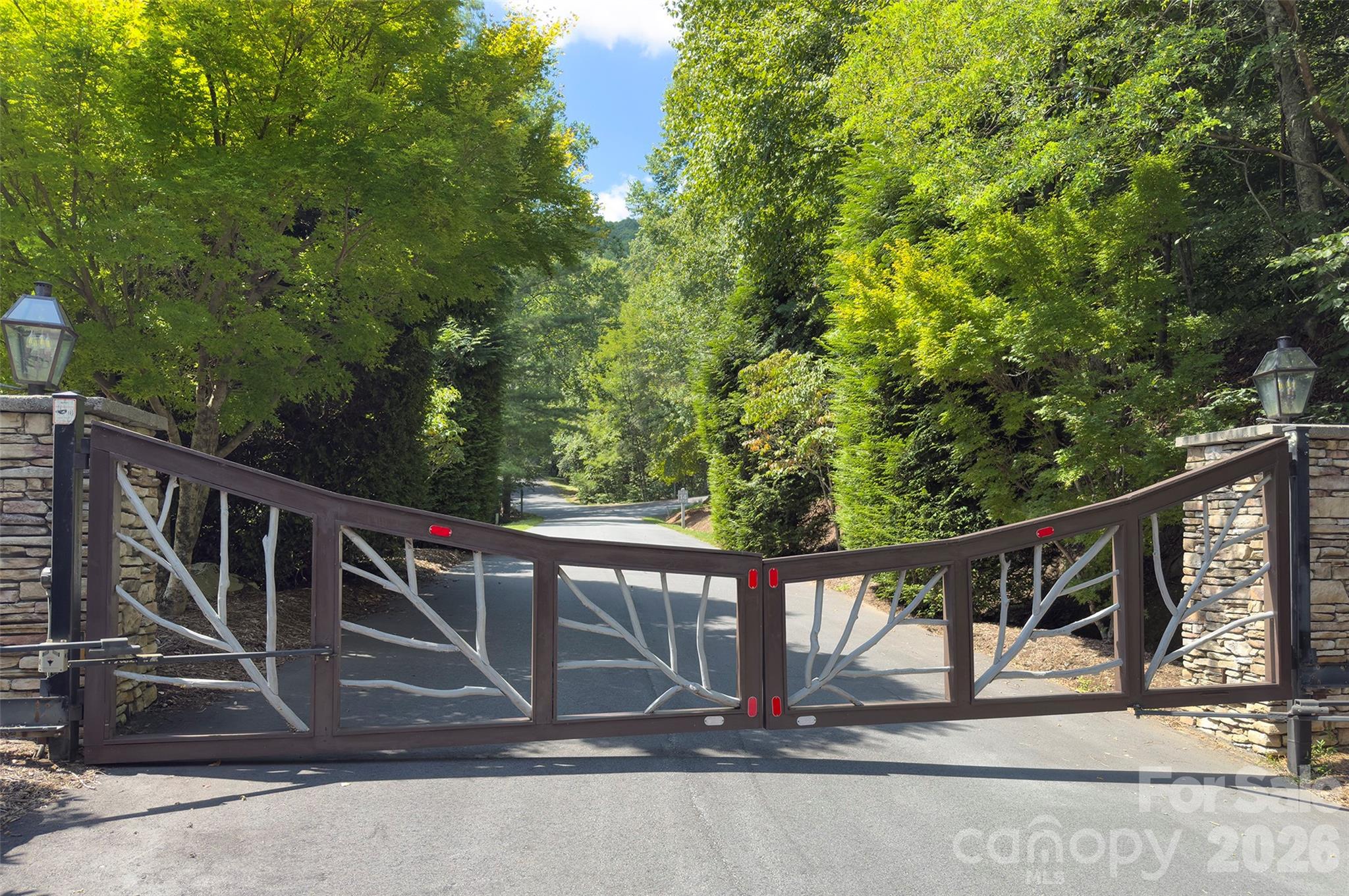 98 Soapstone Creek Drive — Arden