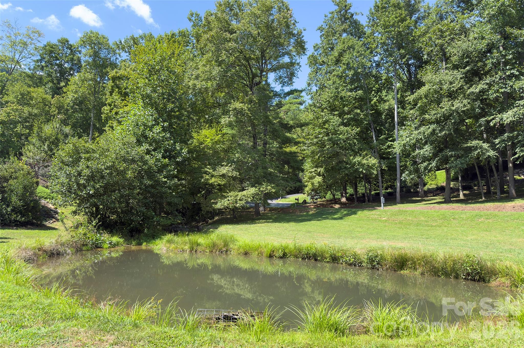 98 Soapstone Creek Drive — Arden