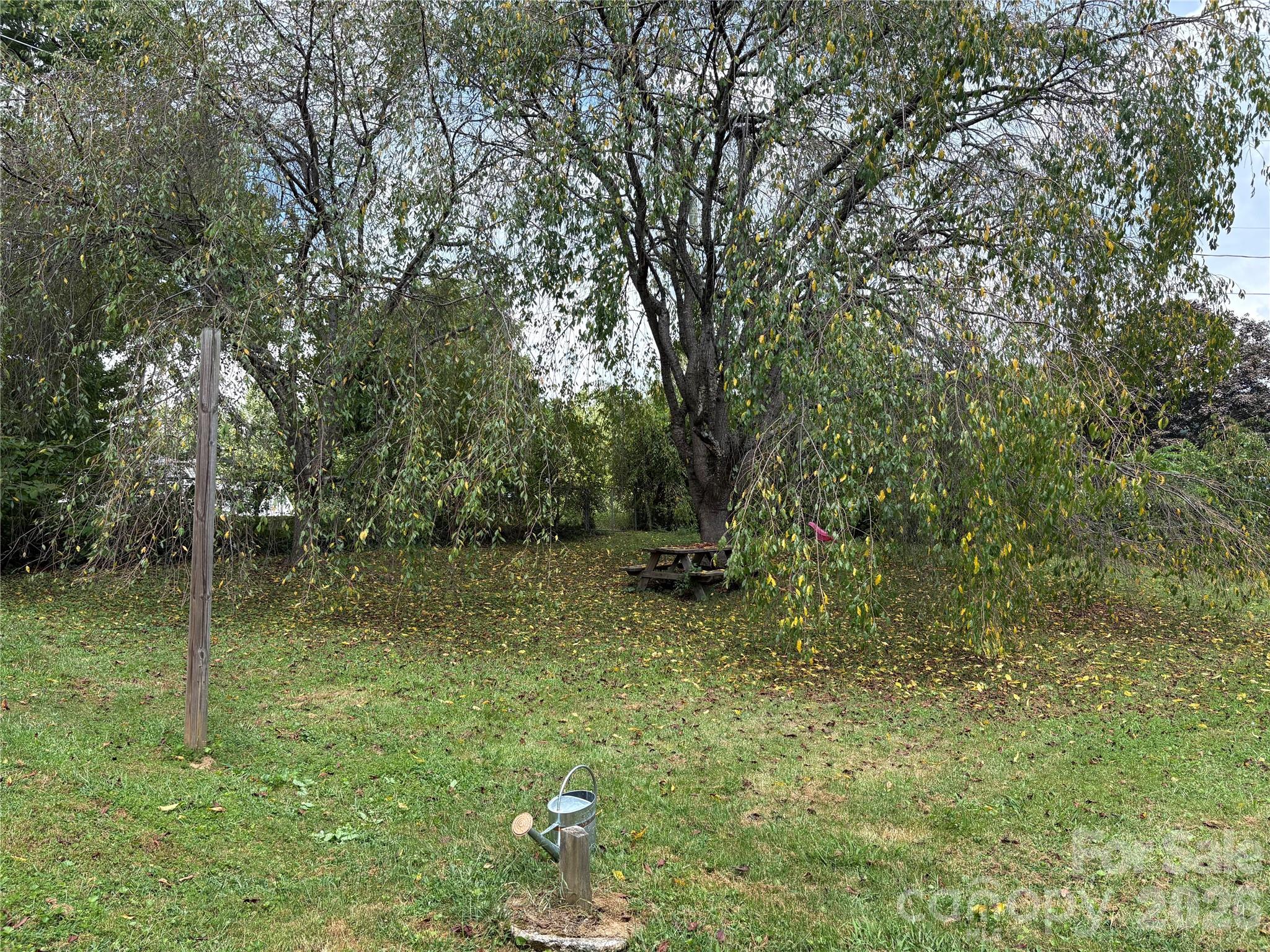 408 McCoy Cove Road — Black Mountain
