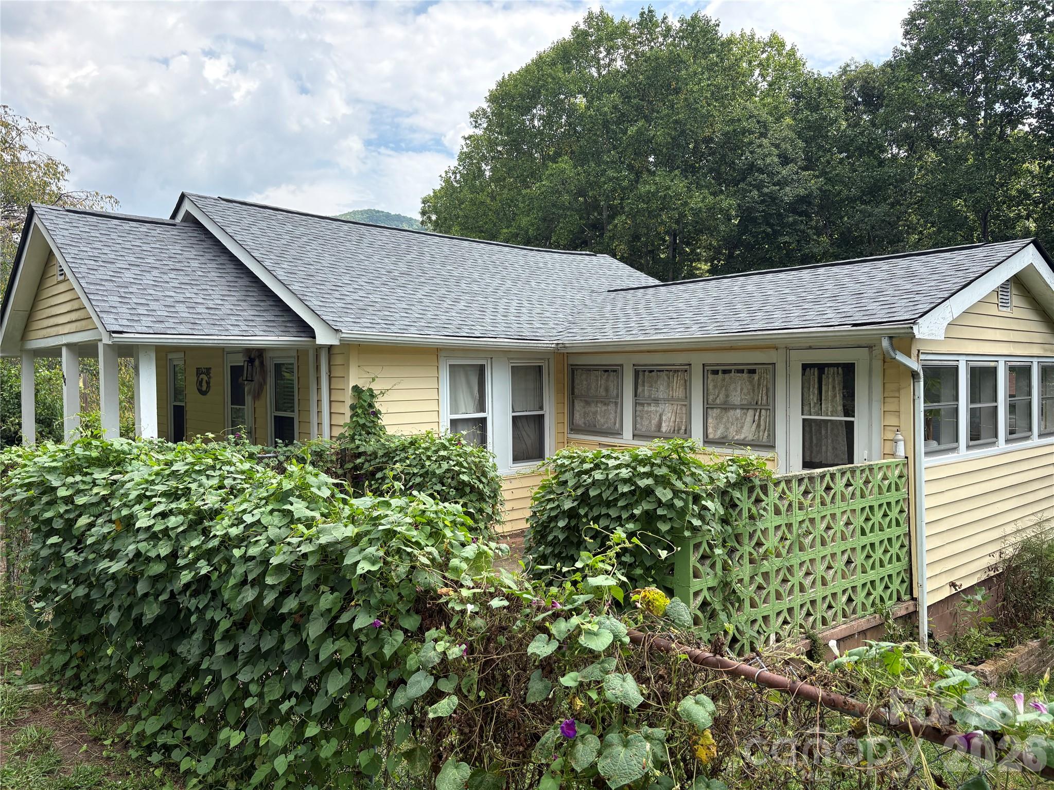 408 McCoy Cove Road — Black Mountain