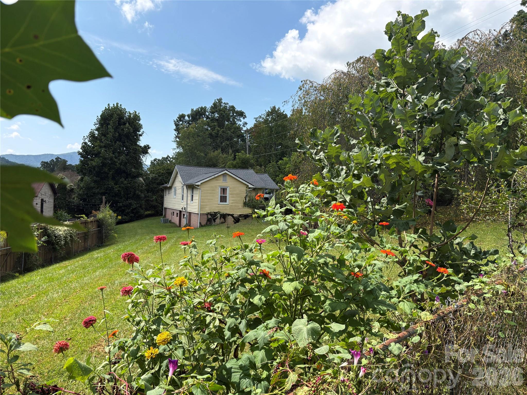 408 McCoy Cove Road — Black Mountain